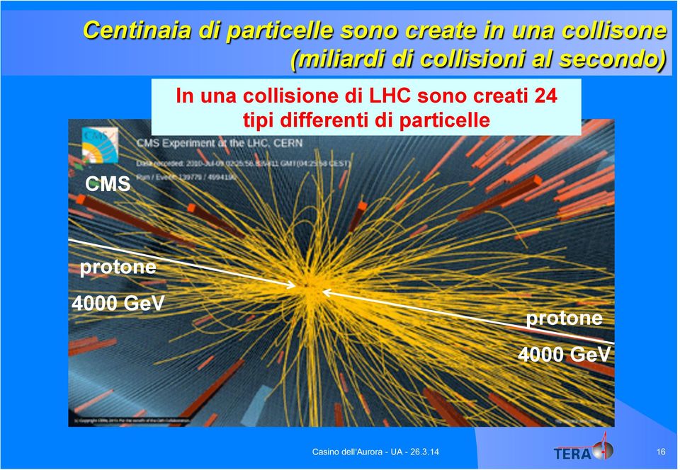 una collisione di LHC sono creati 24 tipi