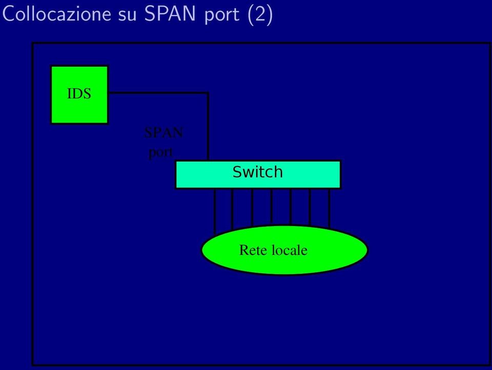 (2) SPAN port