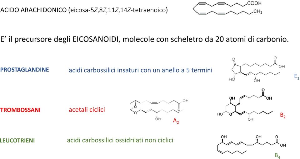 PROSTAGLANDINE acidi carbossilici insaturi con un anello a 5 termini E 1