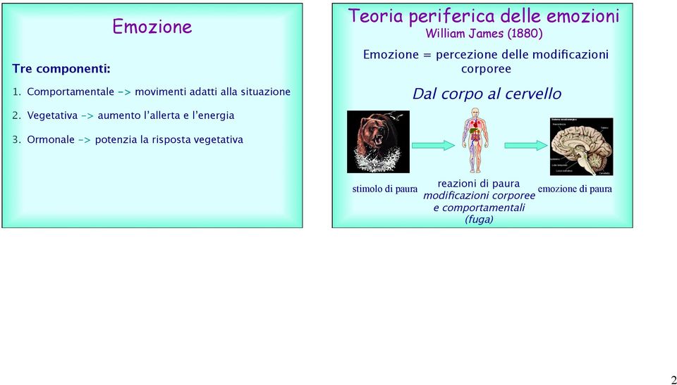 Emozione = percezione delle modificazioni corporee Dal corpo al cervello 3.