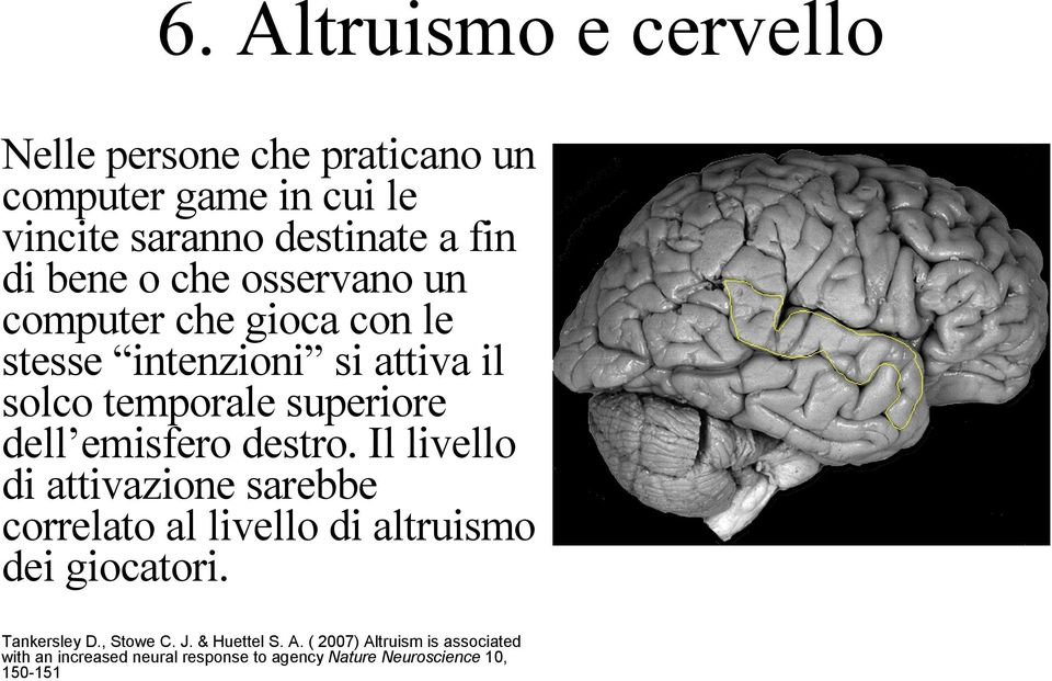 destro. Il livello di attivazione sarebbe correlato al livello di altruismo dei giocatori. Tankersley D., Stowe C. J.