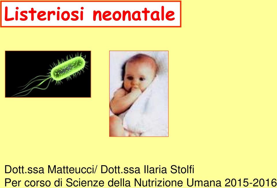 ssa Ilaria Stolfi Per corso