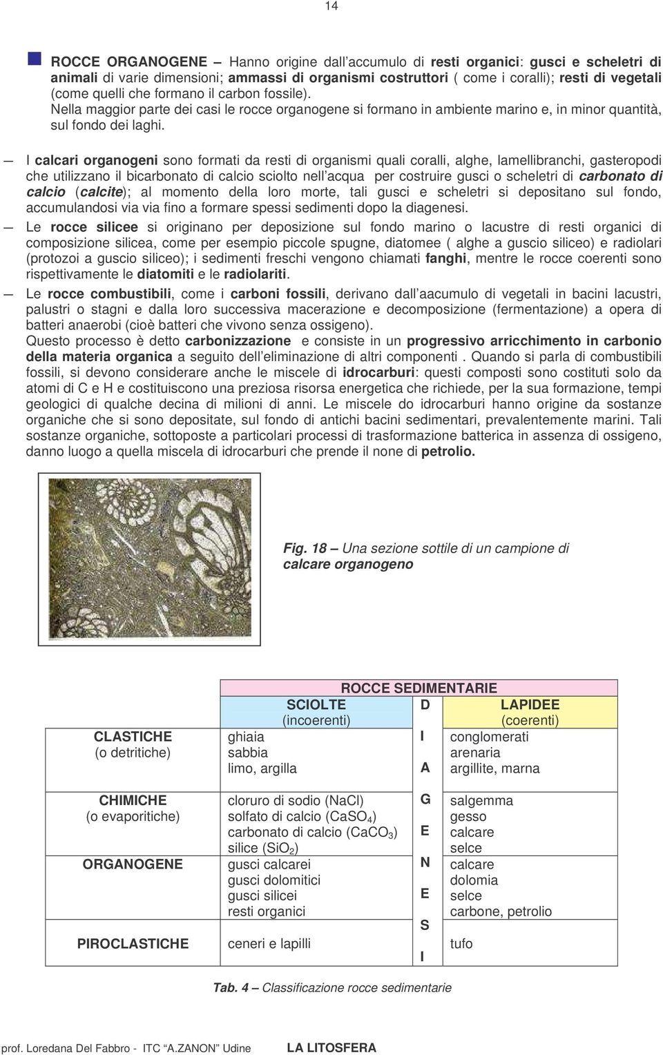 I calcari organogeni sono formati da resti di organismi quali coralli, alghe, lamellibranchi, gasteropodi che utilizzano il bicarbonato di calcio sciolto nell acqua per costruire gusci o scheletri di