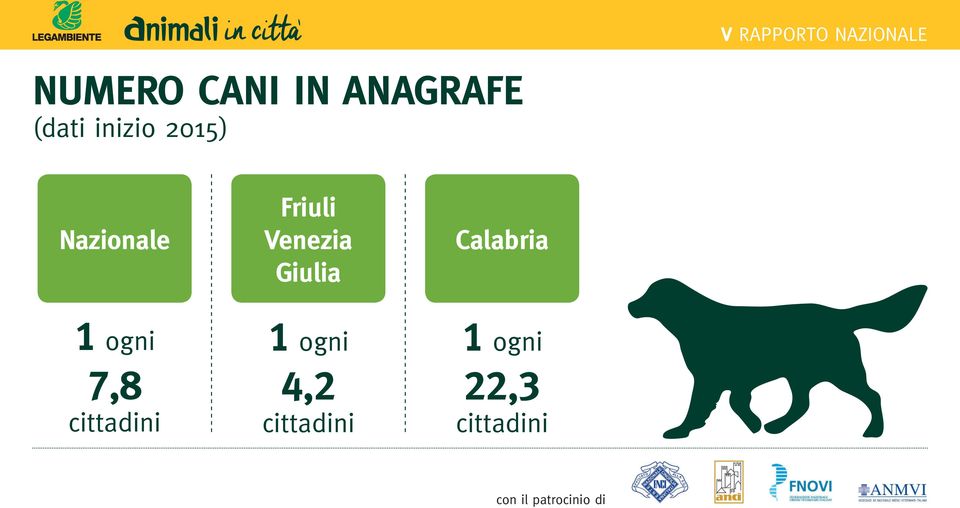 05) Nazionale Friuli