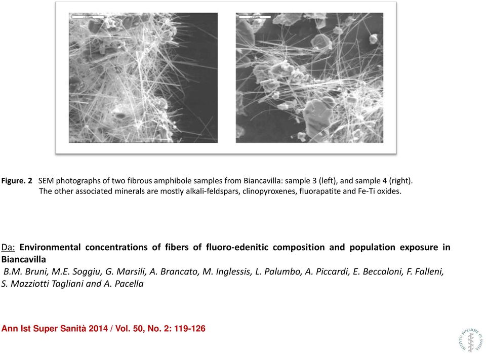 Da: Environmental concentrations of fibers of fluoro-edenitic composition and population exposure in Biancavilla B.M. Bruni, M.E. Soggiu, G.