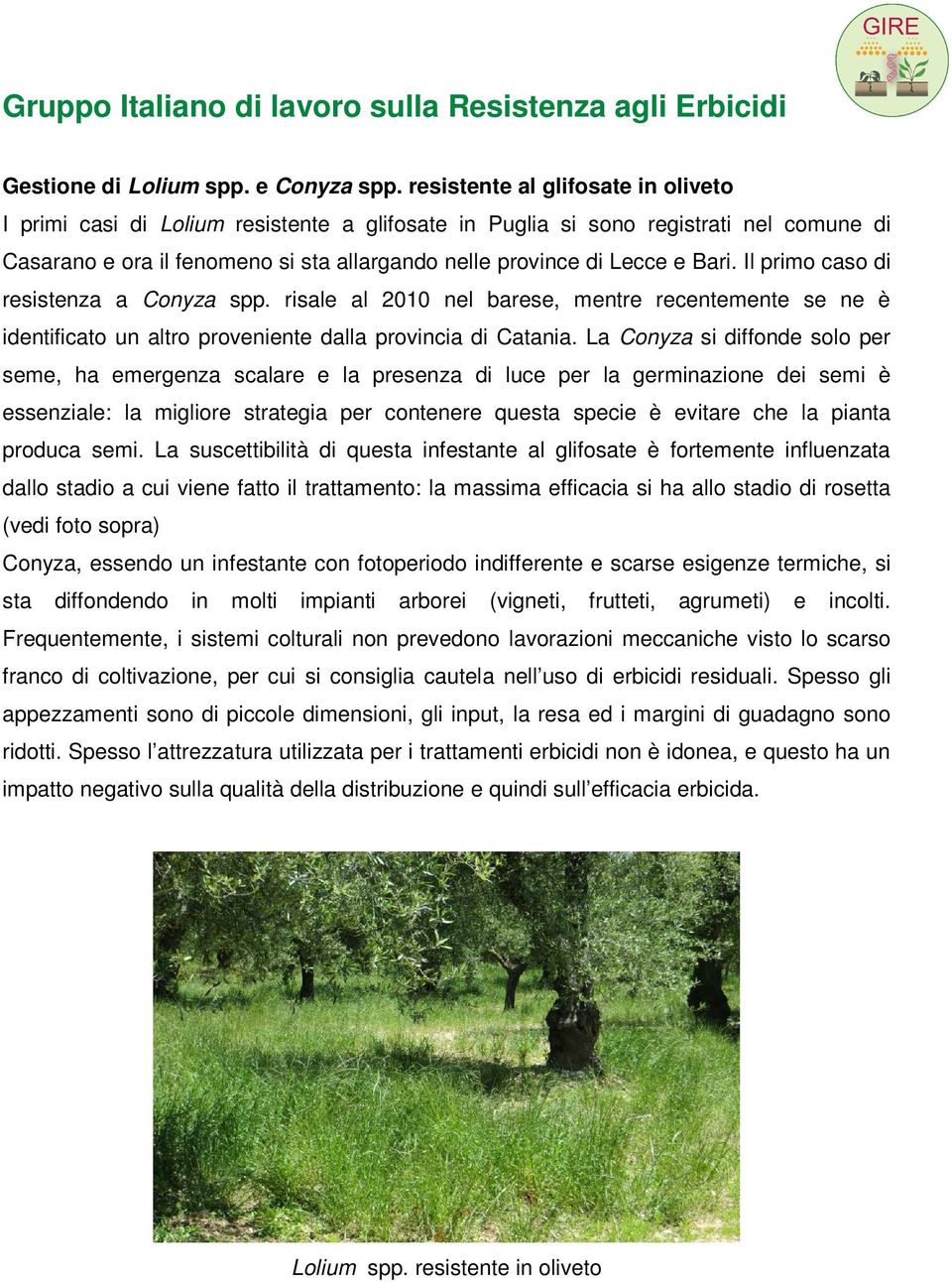 Il primo caso di resistenza a Conyza spp. risale al 2010 nel barese, mentre recentemente se ne è identificato un altro proveniente dalla provincia di Catania.