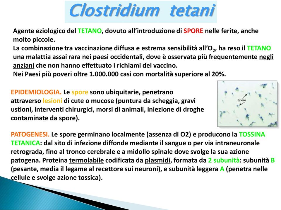 hanno effettuato i richiami del vaccino. Nei Paesi più poveri oltre 1.000.000 casi con mortalità superiore al 20%. EPIDEMIOLOGIA.