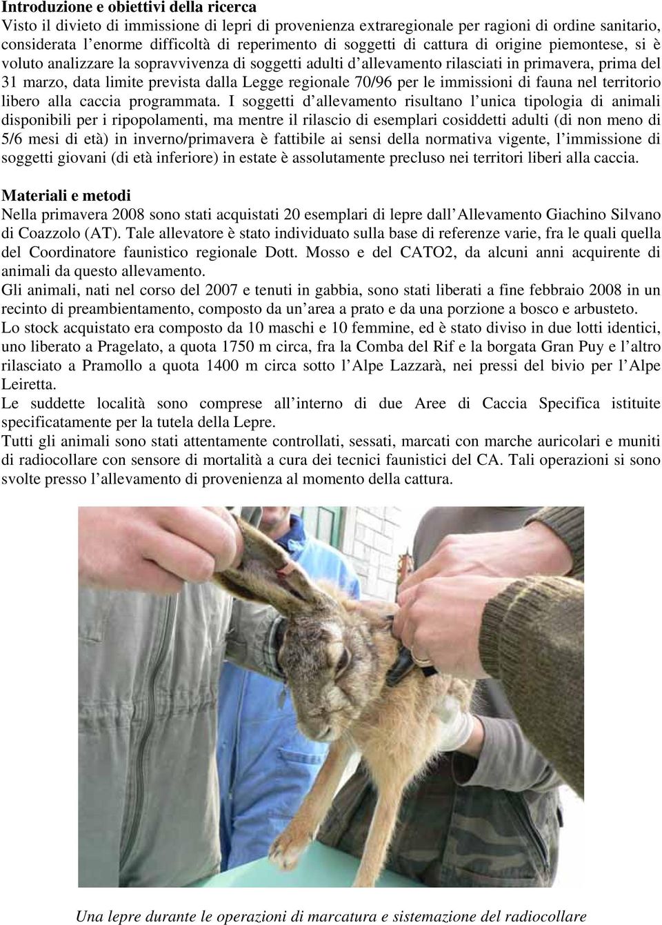 regionale 70/96 per le immissioni di fauna nel territorio libero alla caccia programmata.