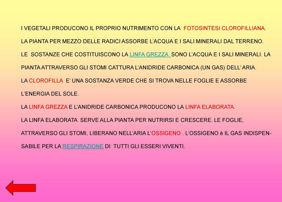 LA CLOROFILLA E UNA SOSTANZA VERDE CHE SI TROVA NELLE FOGLIE E ASSORBE L ENERGIA DEL SOLE. LA LINFA GREZZA E L ANIDRIDE CARBONICA PRODUCONO LA LINFA ELABORATA.