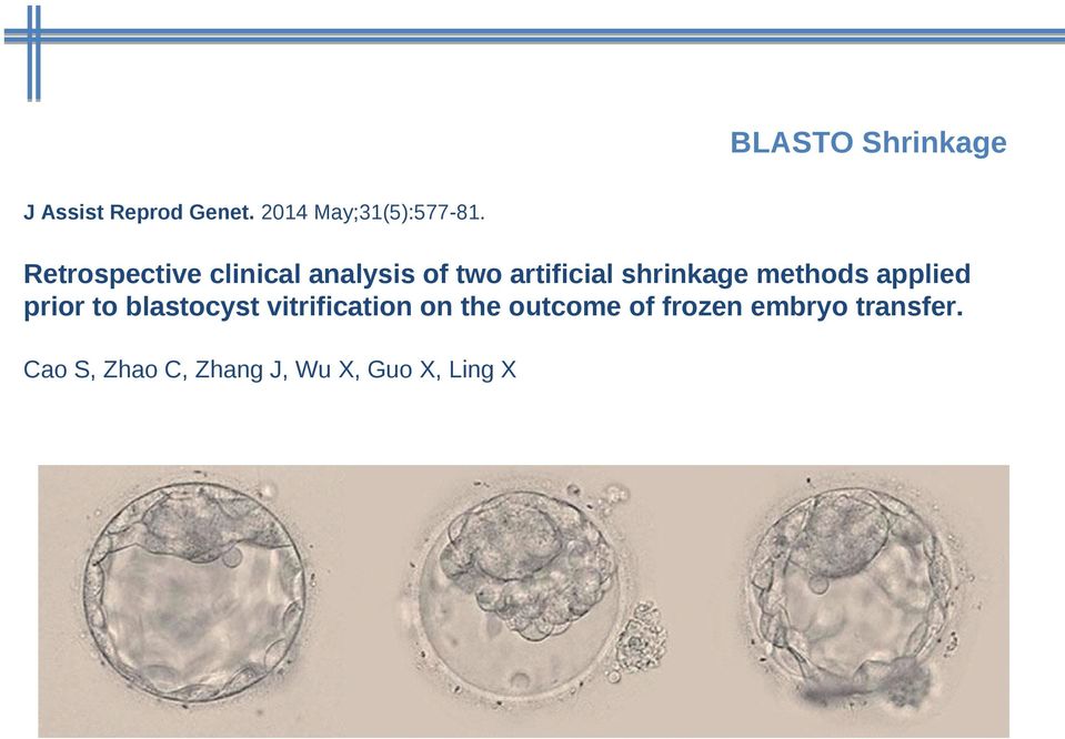 methods applied prior to blastocyst vitrification on the outcome
