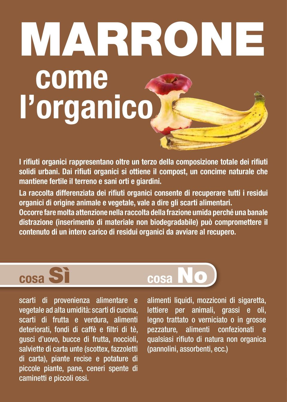 La raccolta differenziata dei rifiuti organici consente di recuperare tutti i residui organici di origine animale e vegetale, vale a dire gli scarti alimentari.