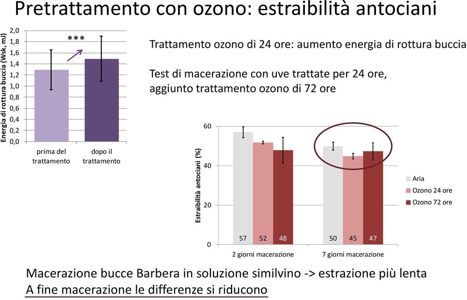 macerazione con uve trattate per 24 ore, aggiunto trattamento ozono di 72 ore 60 40 20 Aria Ozono 24 ore Ozono 72 ore 0 57 52 48 50 45 47 2