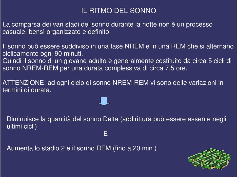 Quindi il sonno di un giovane adulto è generalmente costituito da circa 5 cicli di sonno NREM-REM per una durata complessiva di circa 7,5 ore.