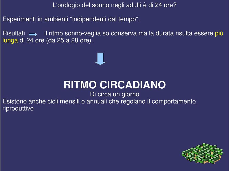 Risultati il ritmo sonno-veglia so conserva ma la durata risulta essere più