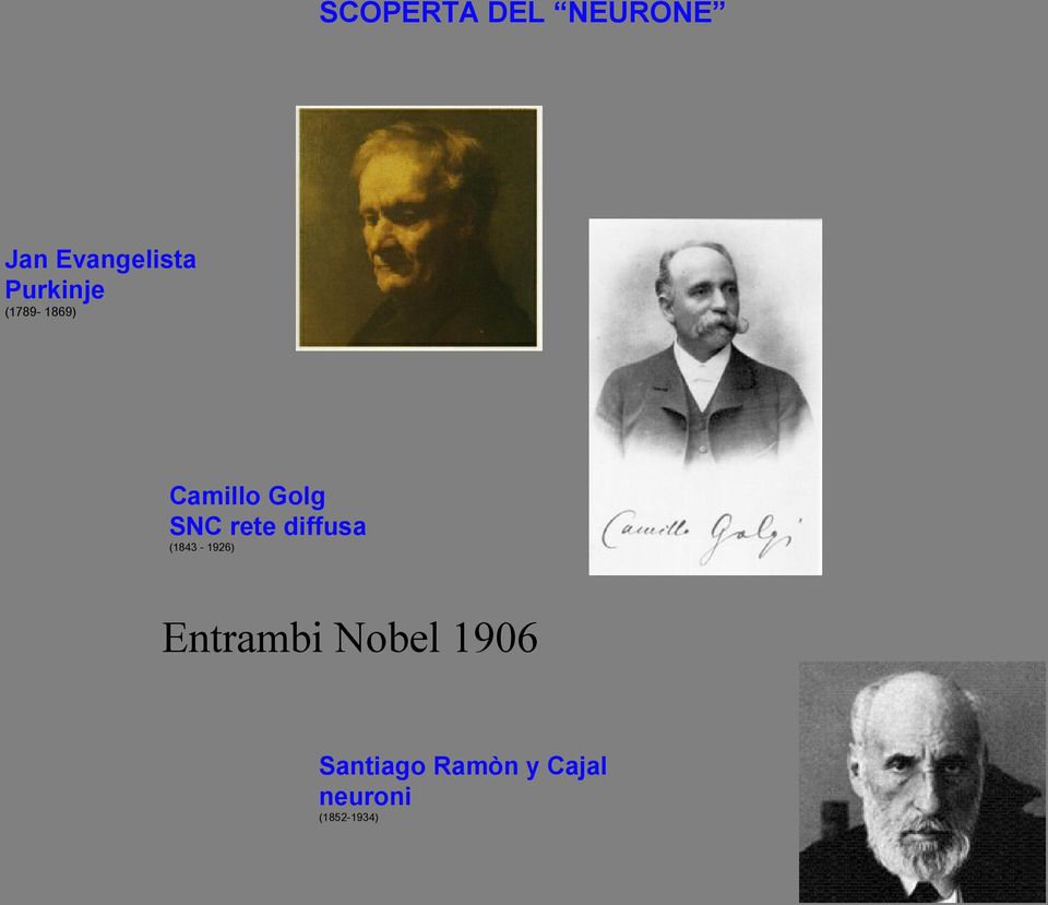 rete diffusa (1843-1926) Entrambi Nobel