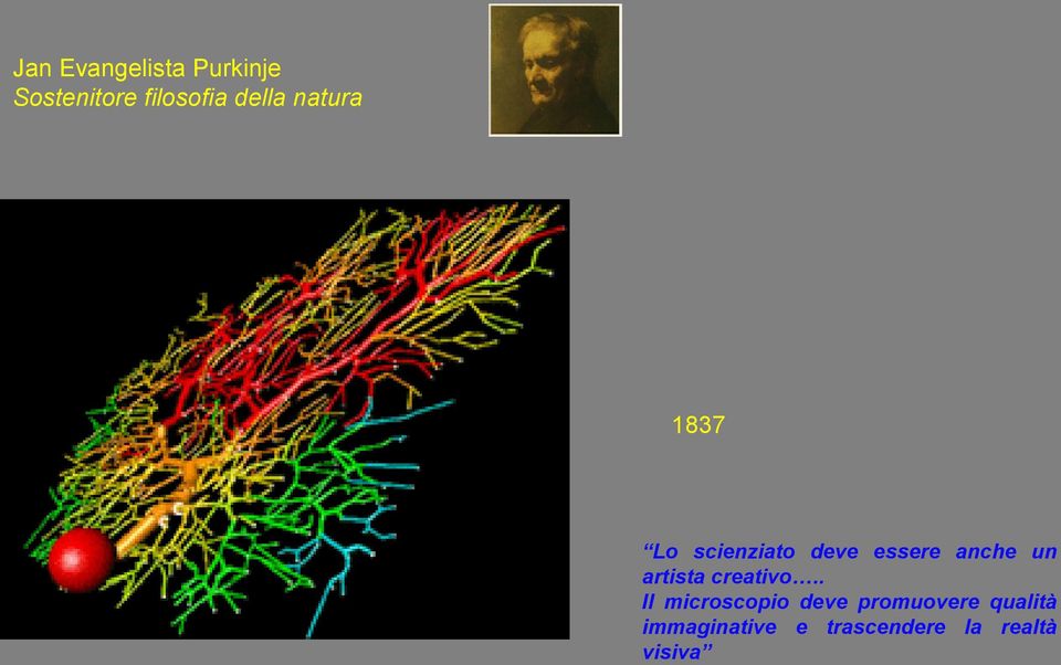 Lo scienziato deve essere anche un artista creativo.