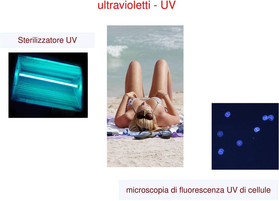 microscopia di