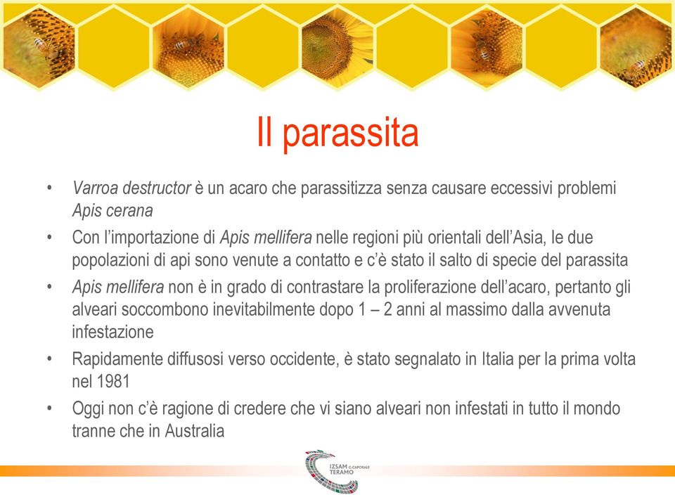 proliferazione dell acaro, pertanto gli alveari soccombono inevitabilmente dopo 1 2 anni al massimo dalla avvenuta infestazione Rapidamente diffusosi verso