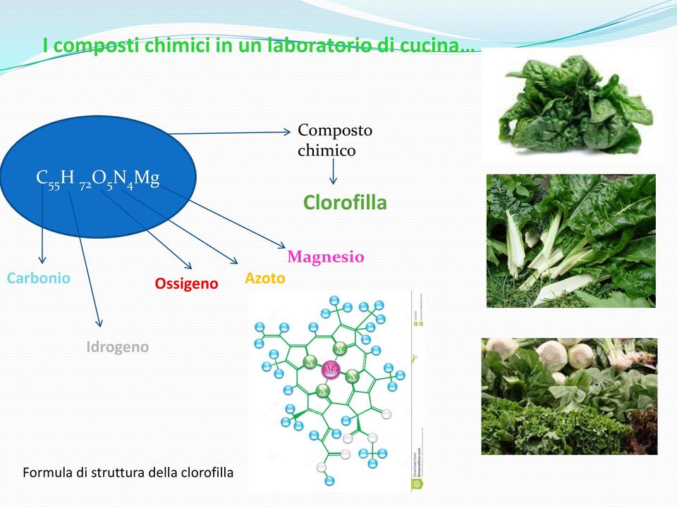 chimico Clorofilla Carbonio Ossigeno