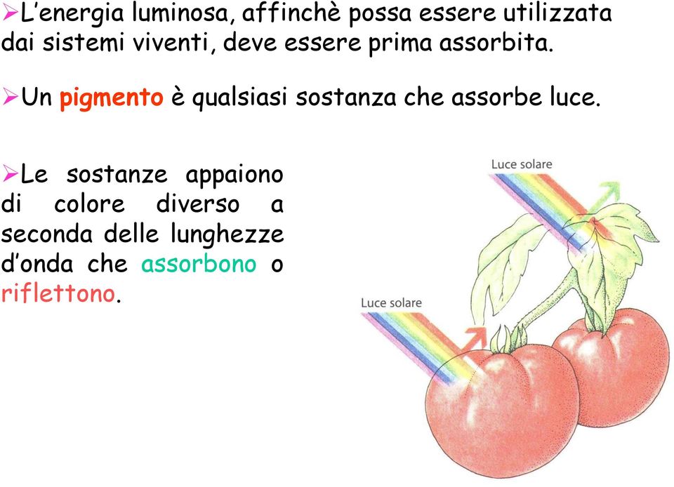 Un pigmento è qualsiasi sostanza che assorbe luce.