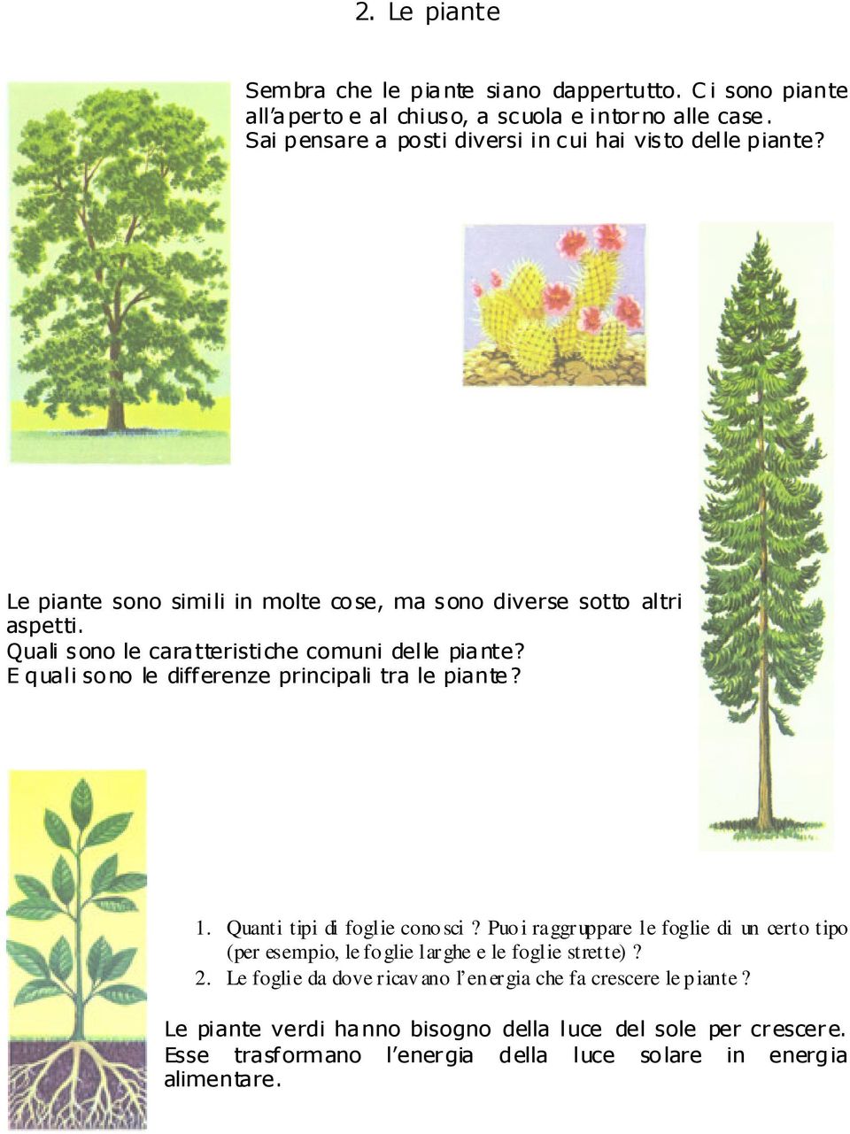 Quali sono le caratteristiche comuni delle piante? E quali sono le differenze principali tra le piante? 1. Quanti tipi di foglie conosci?