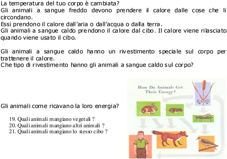 Il calore viene rilasciato quando viene usato il cibo. Gli animali a sangue caldo hanno un rivestimento speciale sul corpo per trattenere il calore.