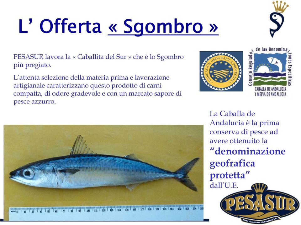 prodotto di carni compatta, di odore gradevole e con un marcato sapore di pesce azzurro.