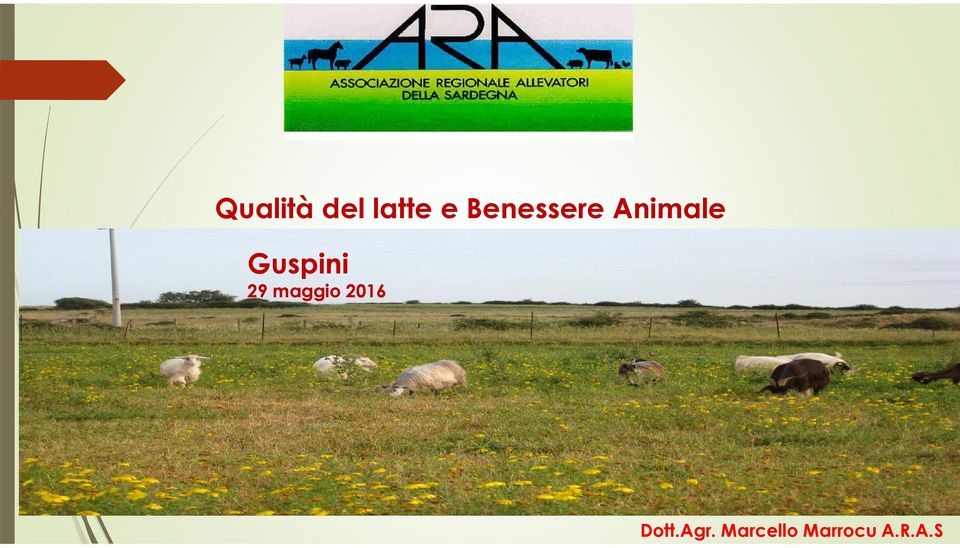 Guspini 29 maggio 2016