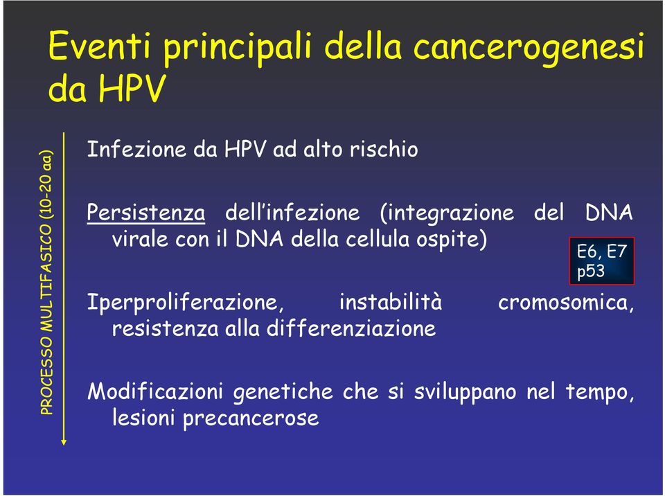 della cellula ospite) E6, E7 p53 Iperproliferazione, instabilità cromosomica, resistenza