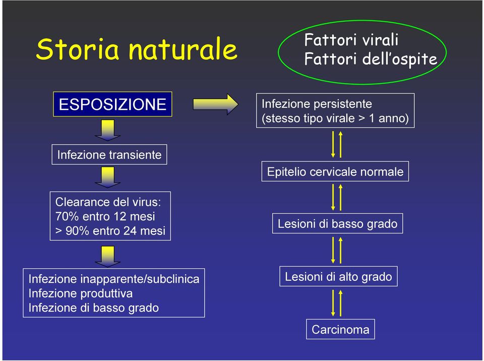 mesi > 90% entro 24 mesi Epitelio cervicale normale Lesioni di basso grado Infezione