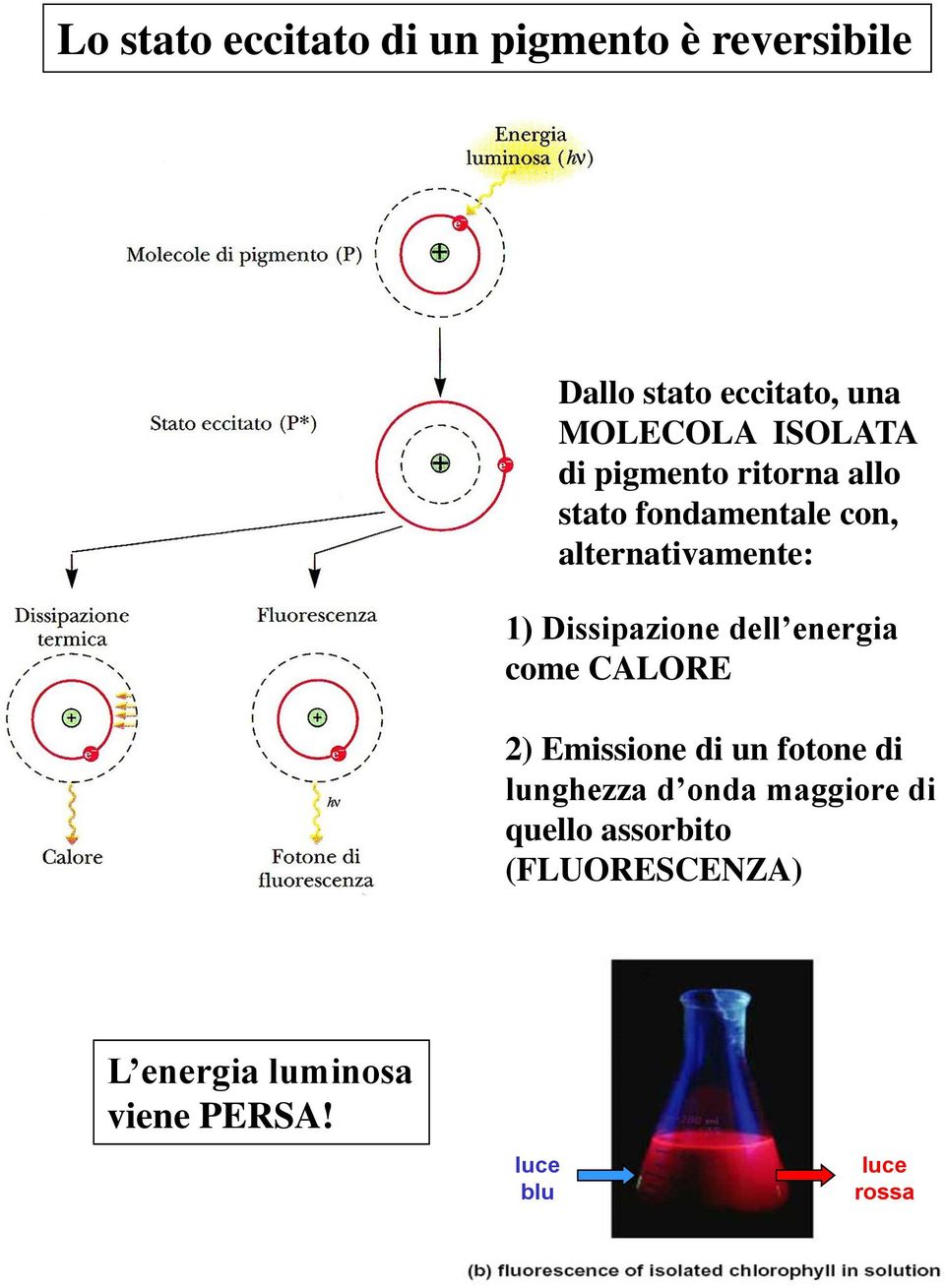 Dissipazione dell energia come CALORE 2) Emissione di un fotone di lunghezza d onda