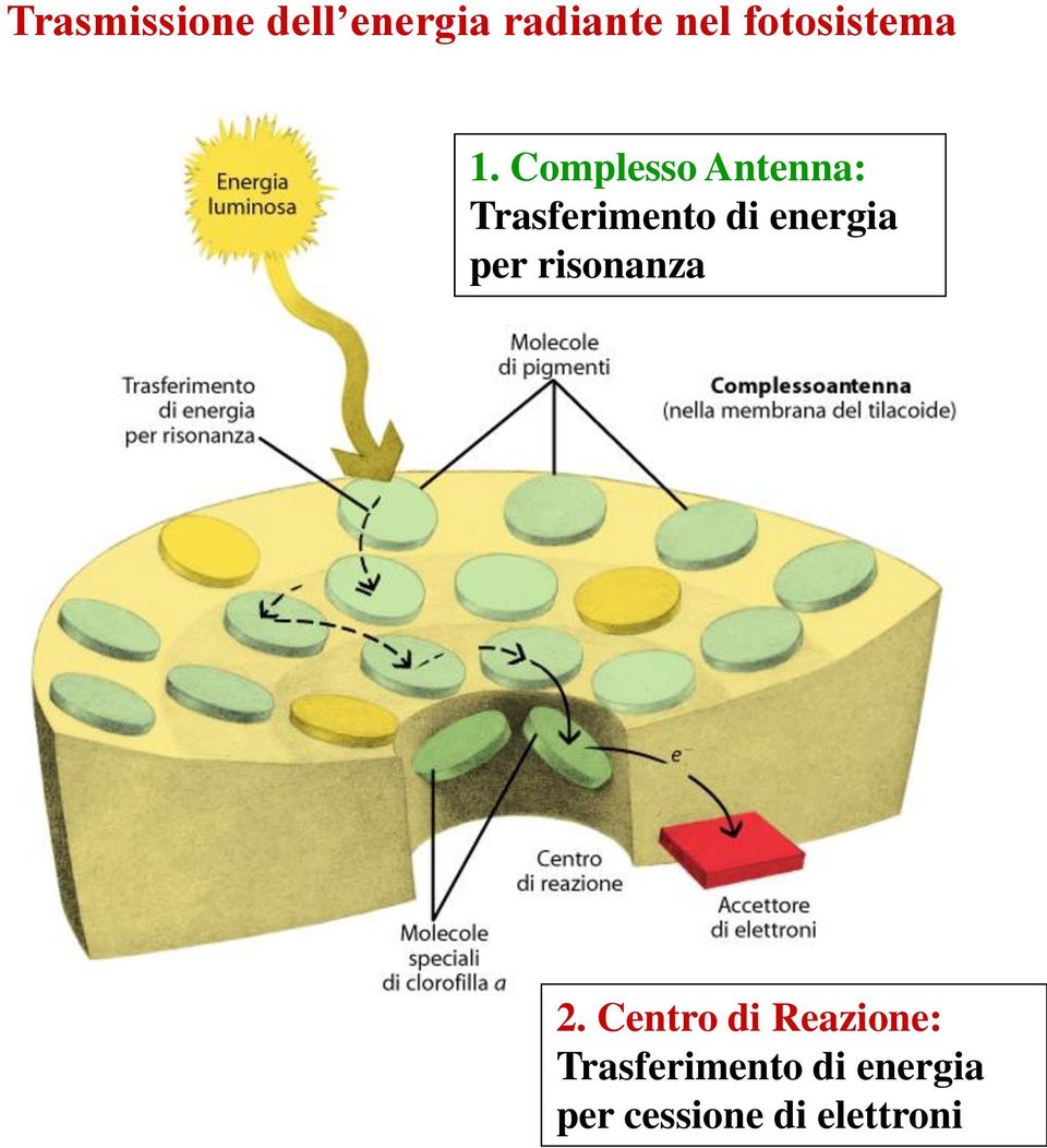 Complesso Antenna: Trasferimento di energia