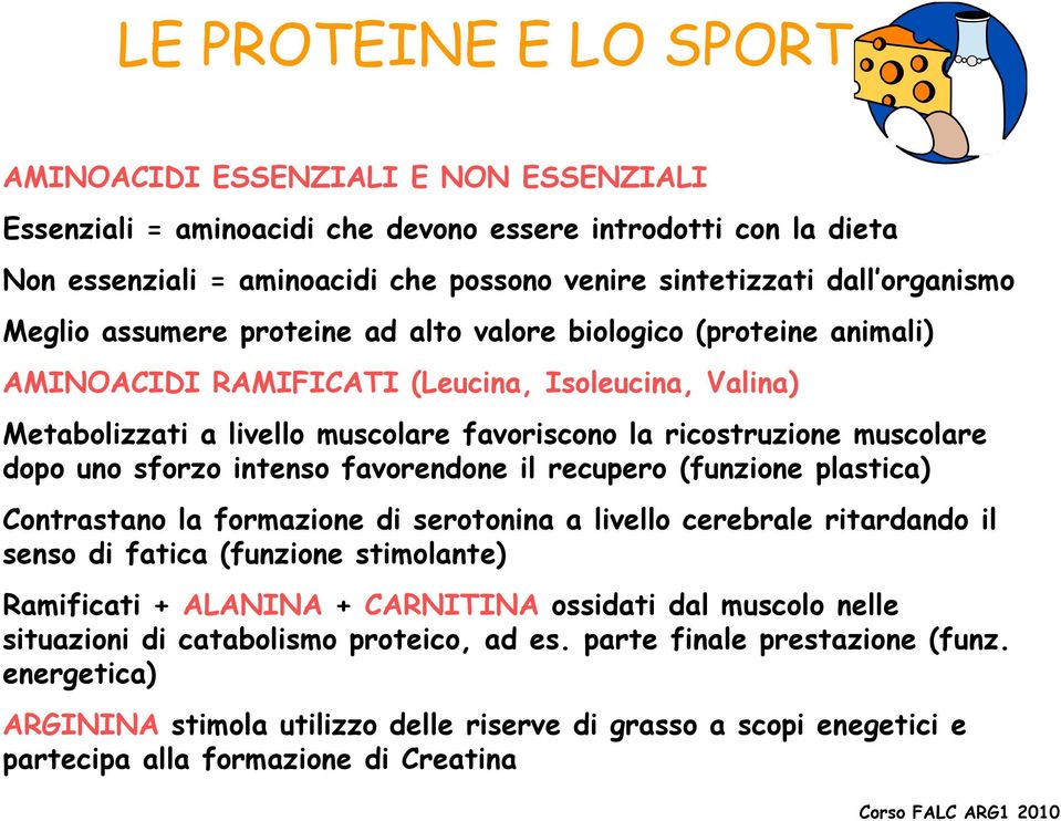 muscolare dopo uno sforzo intenso favorendone il recupero (funzione plastica) Contrastano la formazione di serotonina a livello ll cerebrale ritardando d il senso di fatica (funzione stimolante)