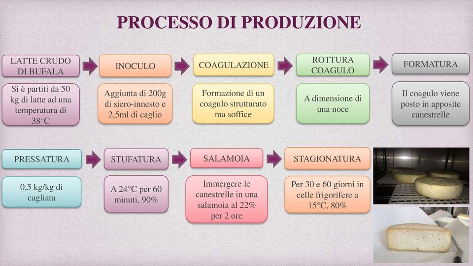 dimensione di una noce Il coagulo viene posto in apposite canestrelle PRESSATURA STUFATURA SALAMOIA STAGIONATURA 0,5 kg/kg di