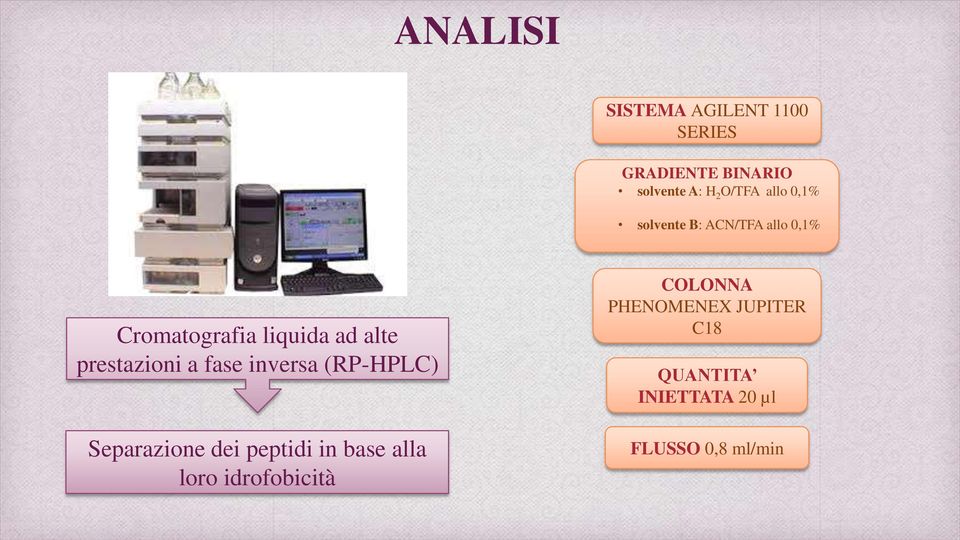 prestazioni a fase inversa (RP-HPLC) Separazione dei peptidi in base alla