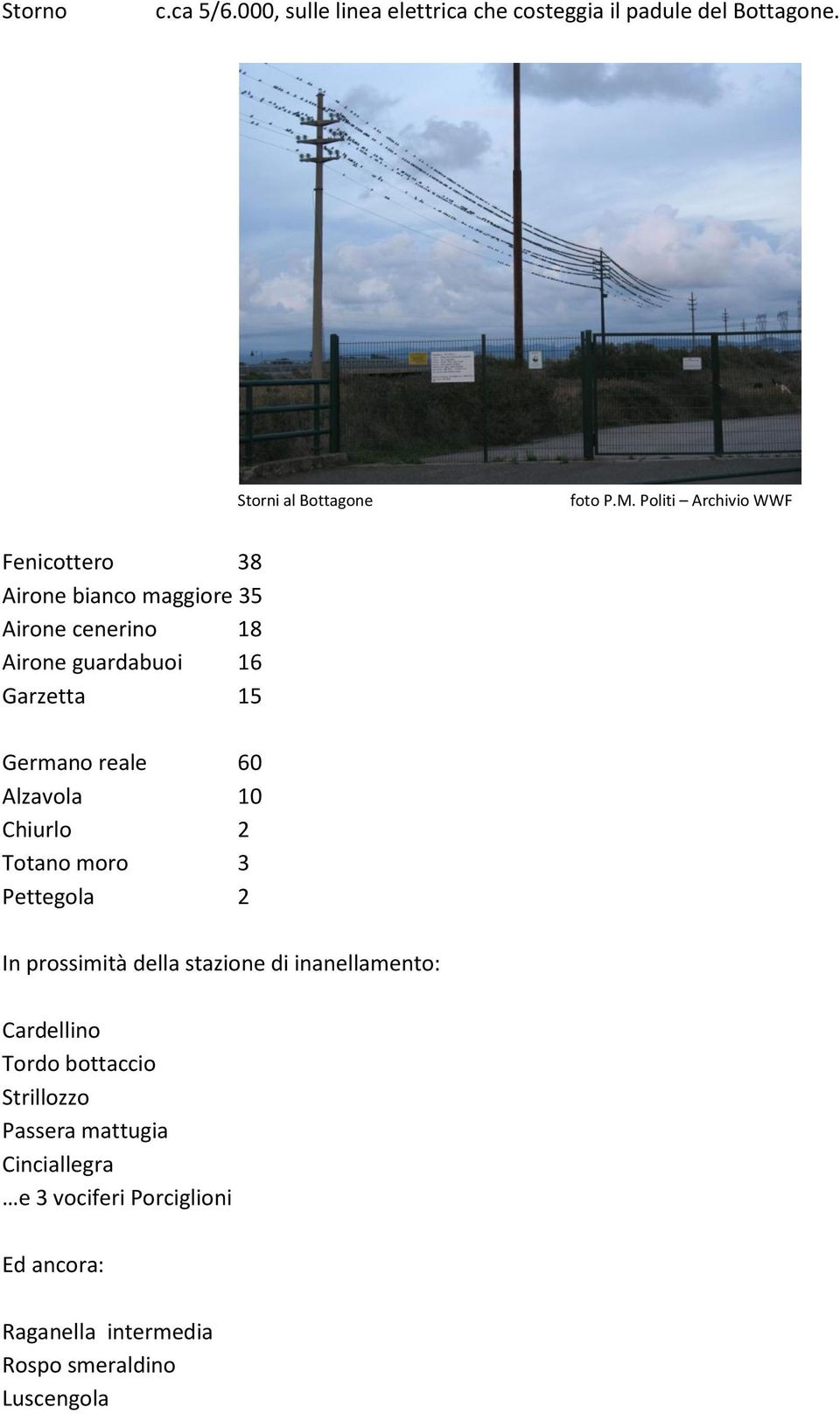 Germano reale 60 Alzavola 10 Chiurlo 2 Totano moro 3 Pettegola 2 In prossimità della stazione di inanellamento: