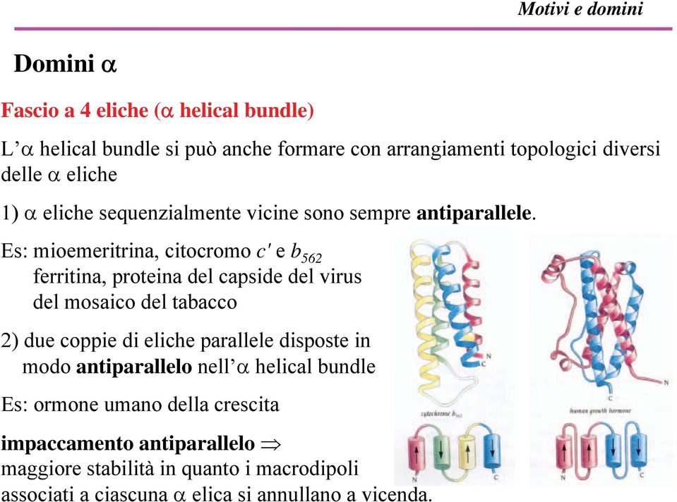 Es: mioemeritrina, citocromo c' e b 562 ferritina, proteina del capside del virus del mosaico del tabacco 2) due coppie di eliche parallele