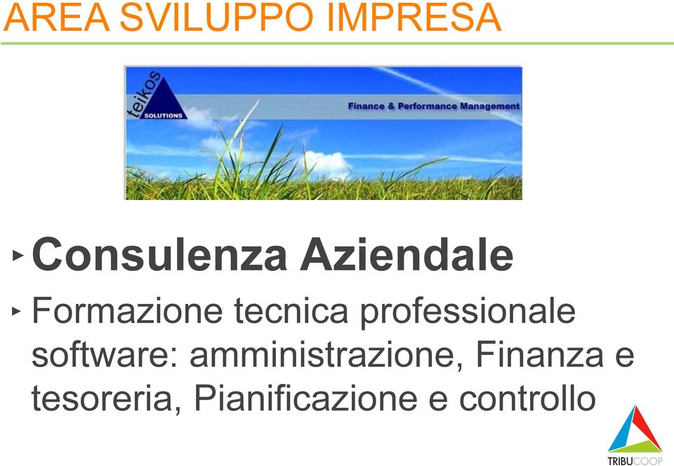 professionale software: