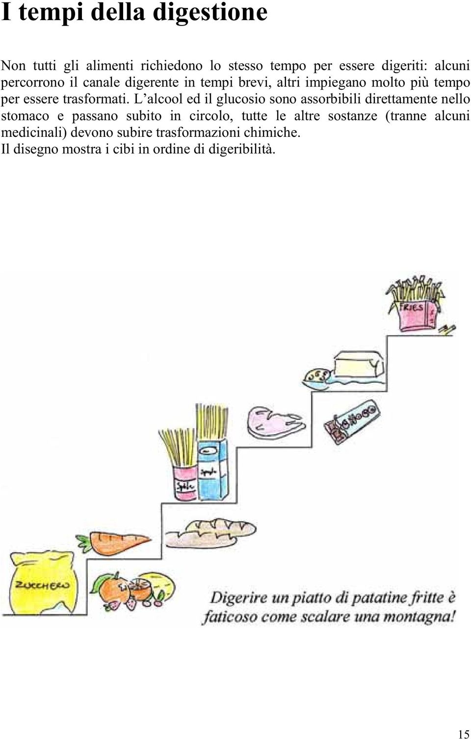 L alcool ed il glucosio sono assorbibili direttamente nello stomaco e passano subito in circolo, tutte le altre