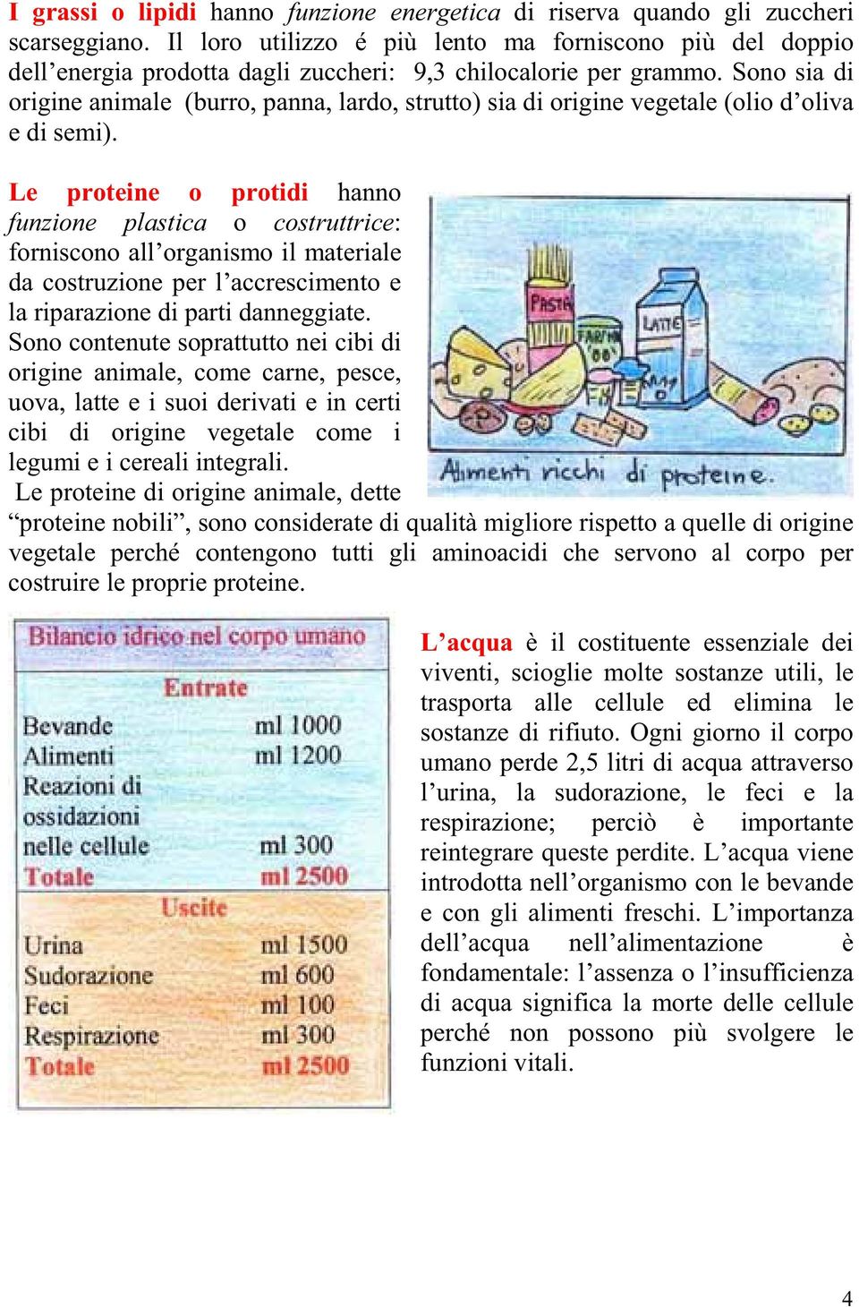 Sono sia di origine animale (burro, panna, lardo, strutto) sia di origine vegetale (olio d oliva e di semi).