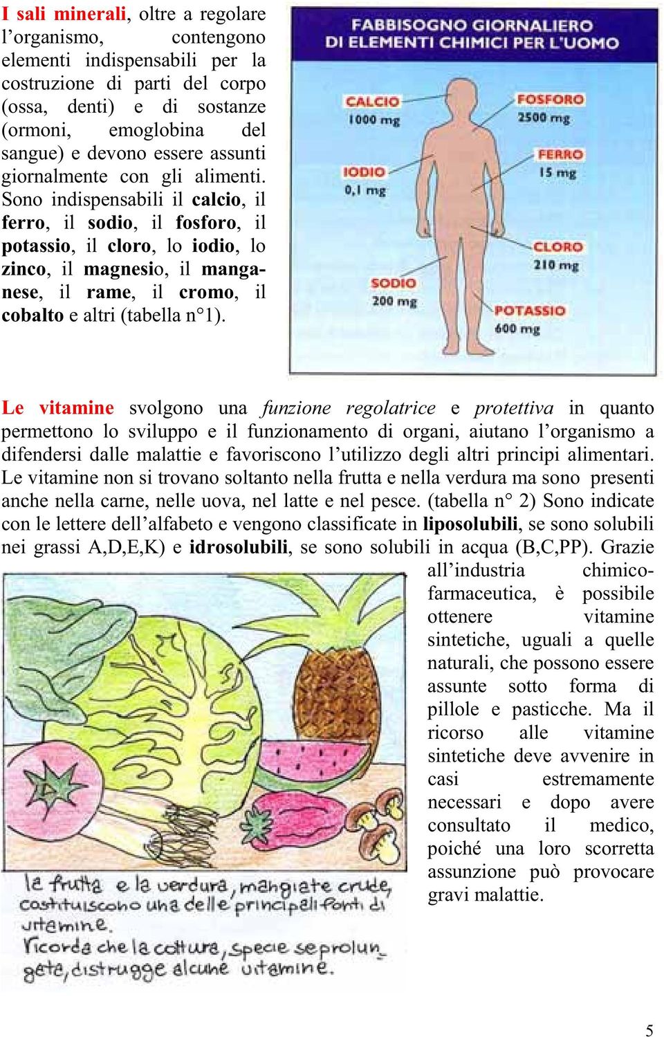 Sono indispensabili il calcio, il ferro, il sodio, il fosforo, il potassio, il cloro, lo iodio, lo zinco, il magnesio, il manganese, il rame, il cromo, il cobalto e altri (tabella n 1).