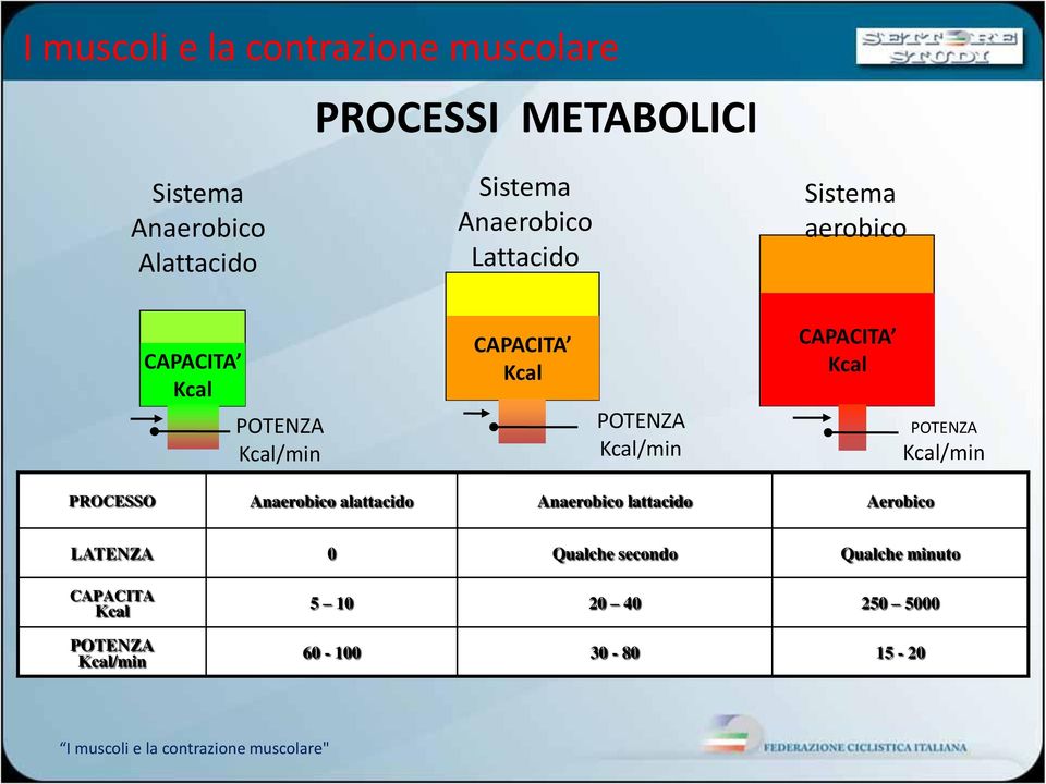 POTENZA Kcal/min PROCESSO Anaerobico alattacido Anaerobico lattacido Aerobico LATENZA 0 Qualche secondo