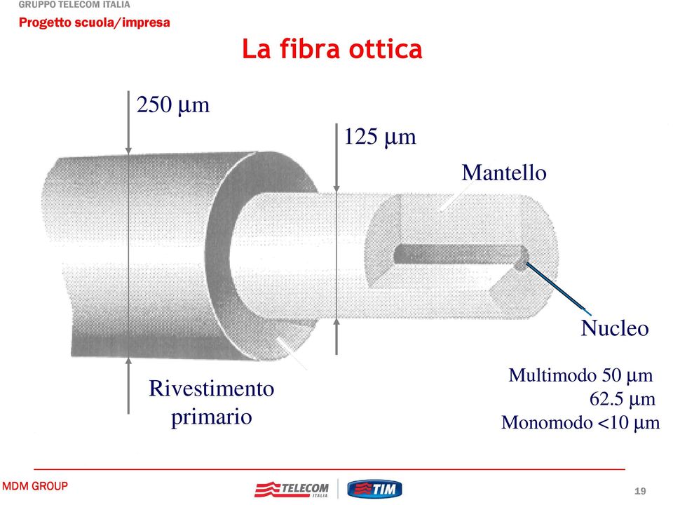 primario Multimodo 50 µm 62.