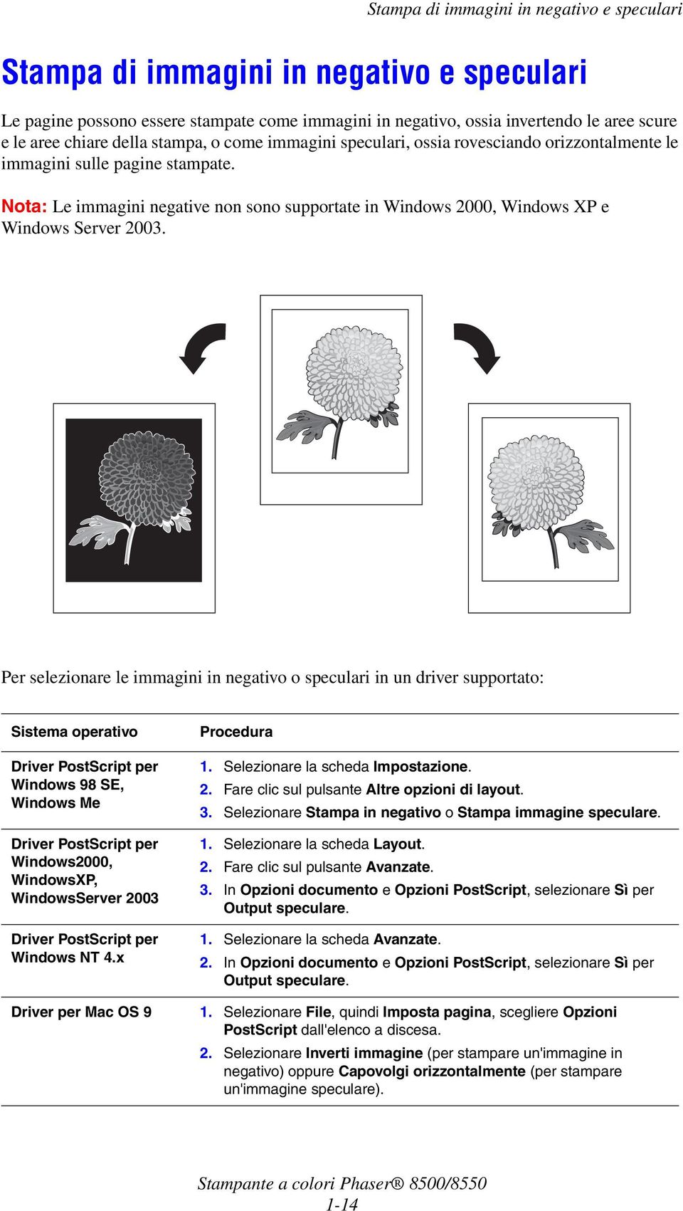 Nota: Le immagini negative non sono supportate in Windows 2000, Windows XP e Windows Server 2003.