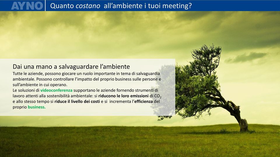 Possono controllare l impatto del proprio business sulle persone e sull ambiente in cui operano.