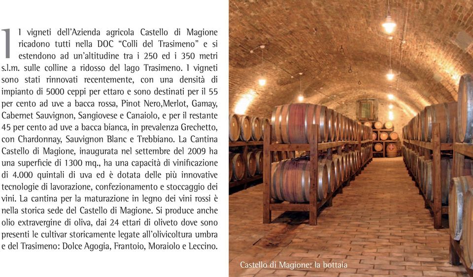 Sauvignon, Sangiovese e Canaiolo, e per il restante 45 per cento ad uve a bacca bianca, in prevalenza Grechetto, con Chardonnay, Sauvignon Blanc e Trebbiano.