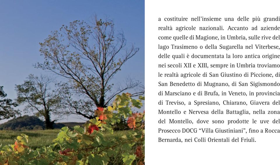 origine nei secoli XII e XIII, sempre in Umbria troviamo le realtà agricole di San Giustino di Piccione, di San Benedetto di Mugnano, di San Sigismondo di Marsciano