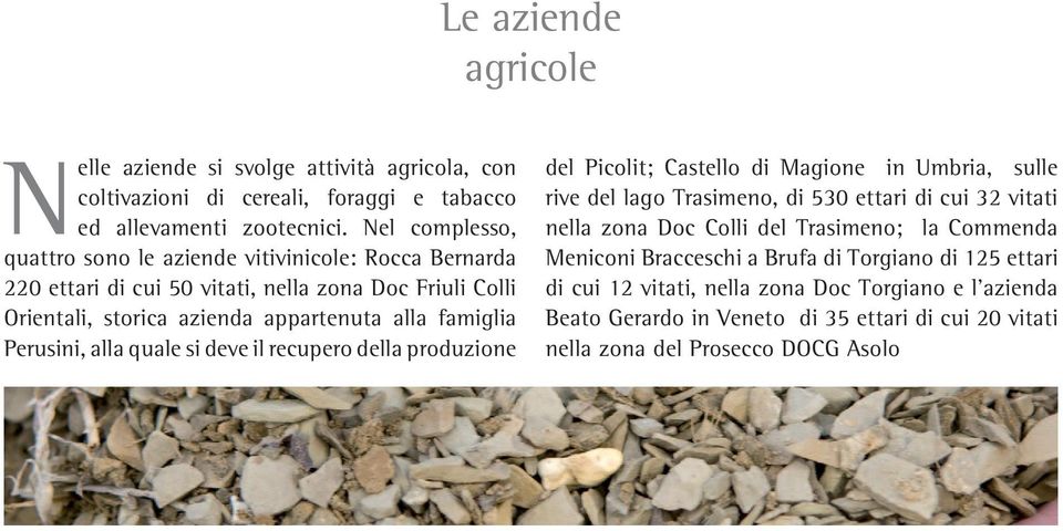 Perusini, alla quale si deve il recupero della produzione del Picolit; Castello di Magione in Umbria, sulle rive del lago Trasimeno, di 530 ettari di cui 32 vitati nella zona Doc