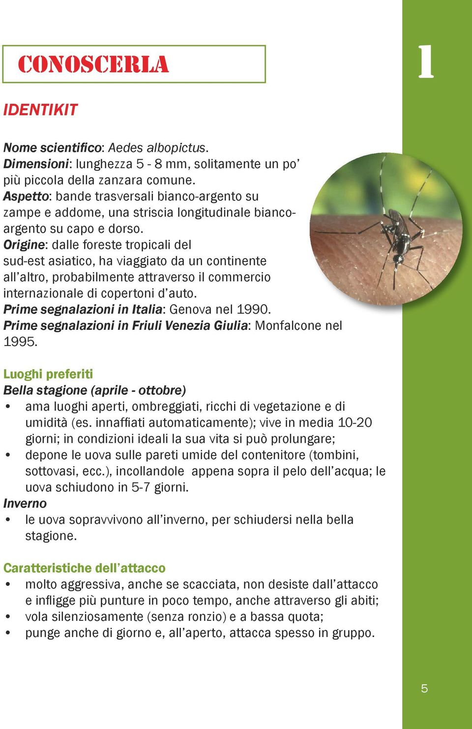 Origine: dalle foreste tropicali del sud-est asiatico, ha viaggiato da un continente all altro, probabilmente attraverso il commercio internazionale di copertoni d auto.