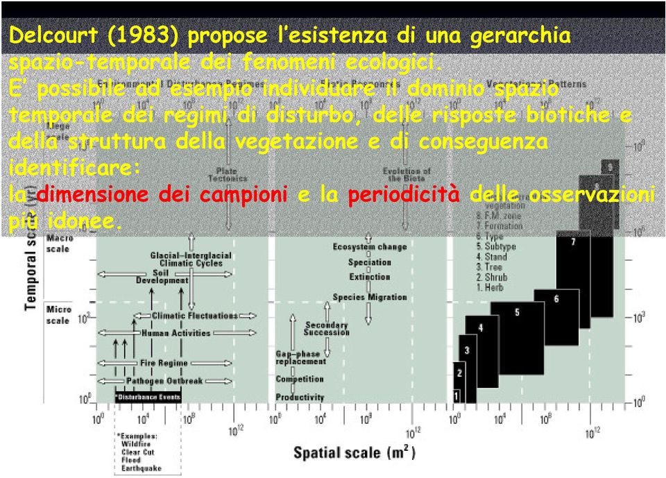 E possibile ad esempio individuare il dominio spazio temporale dei regimi di disturbo,